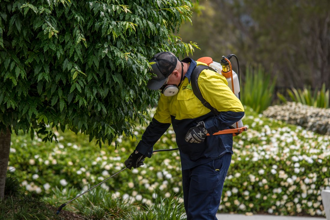 Garden Square — Grolife crew member with backpack sprayer at a flowering garden bed
